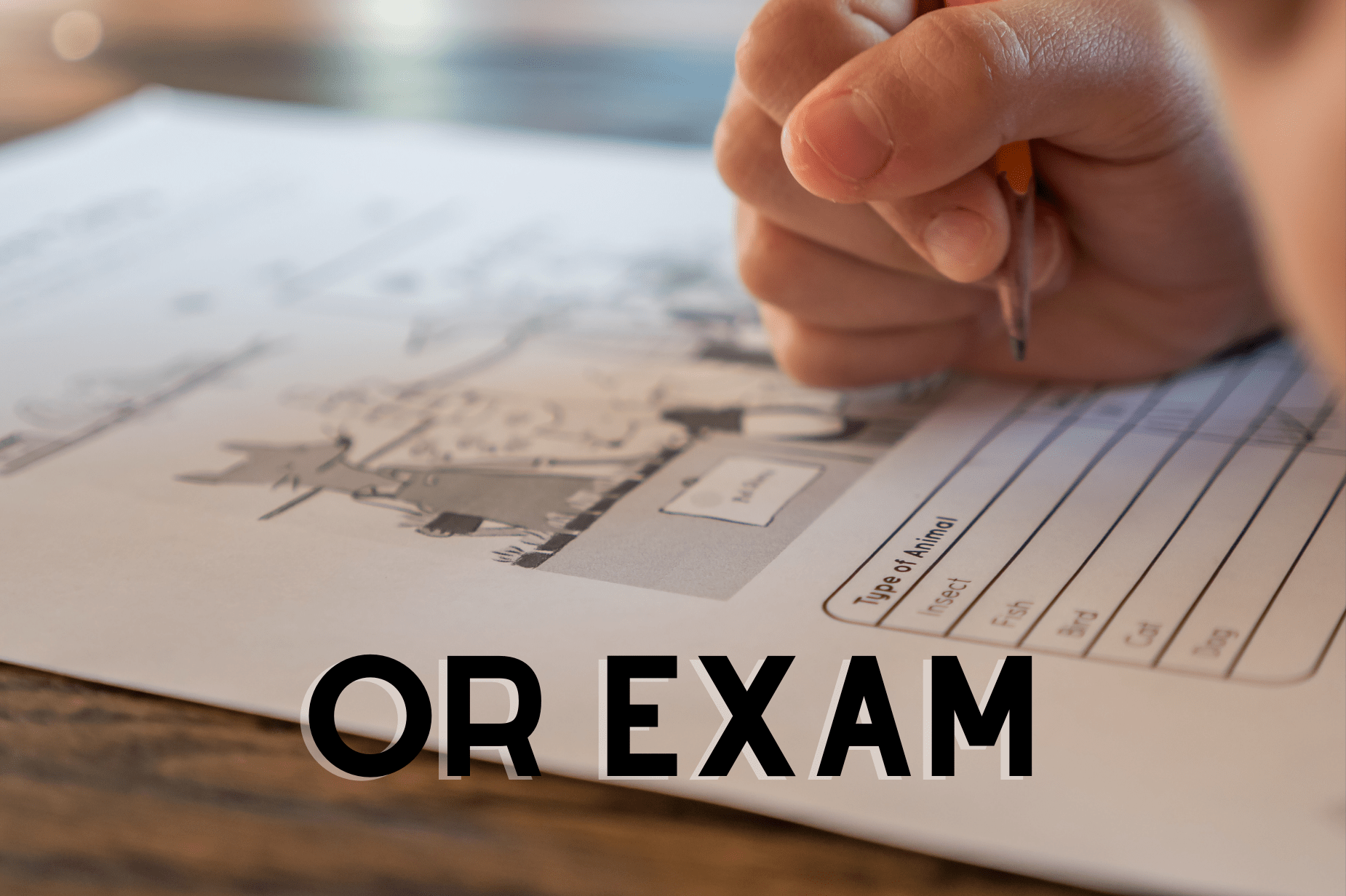 overseas_registration_exam